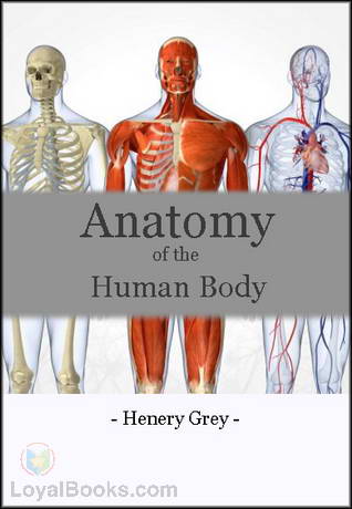 Anatomy Of Human Body Pdf In Hindi