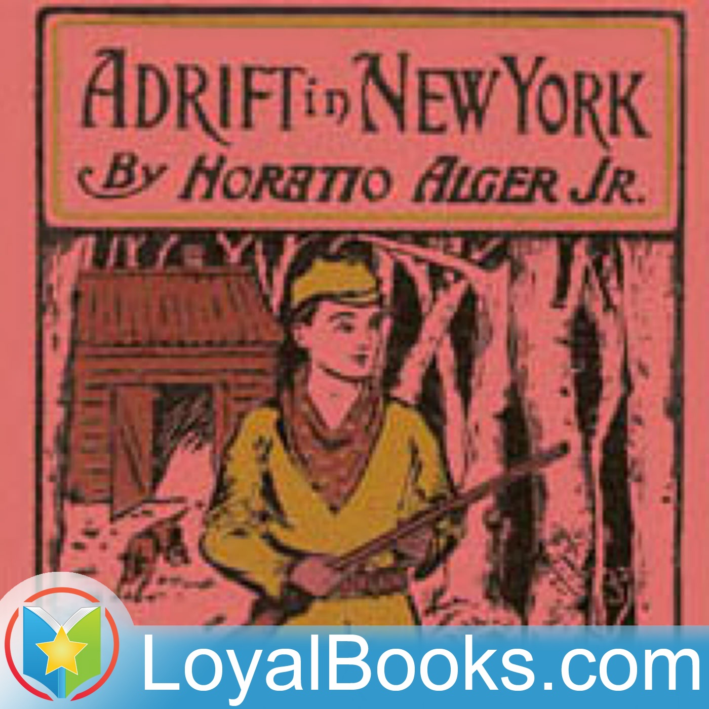 Adrift in New York by Horatio Alger, Jr.