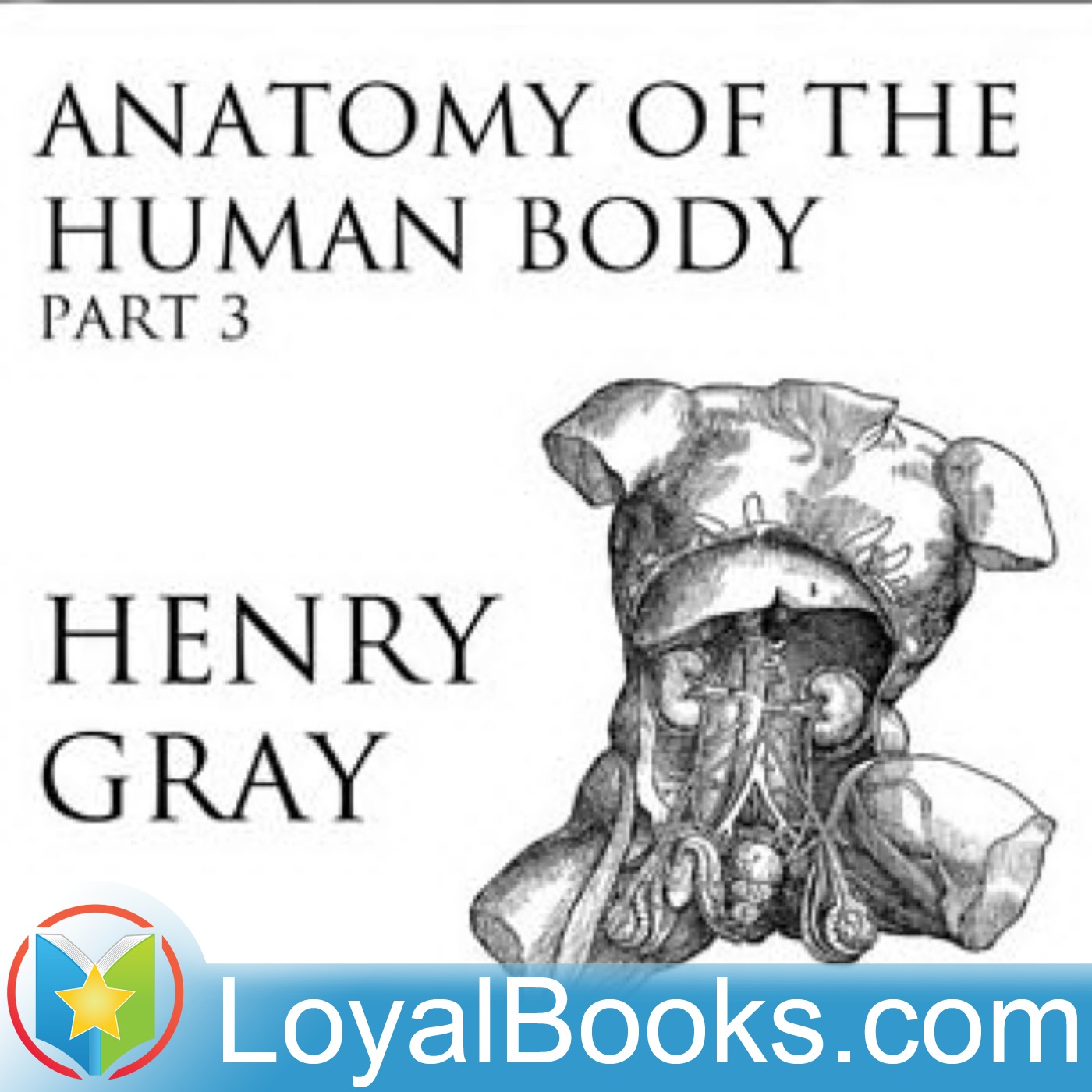 Anatomy of the Human Body, Part 3 by Henry Gray