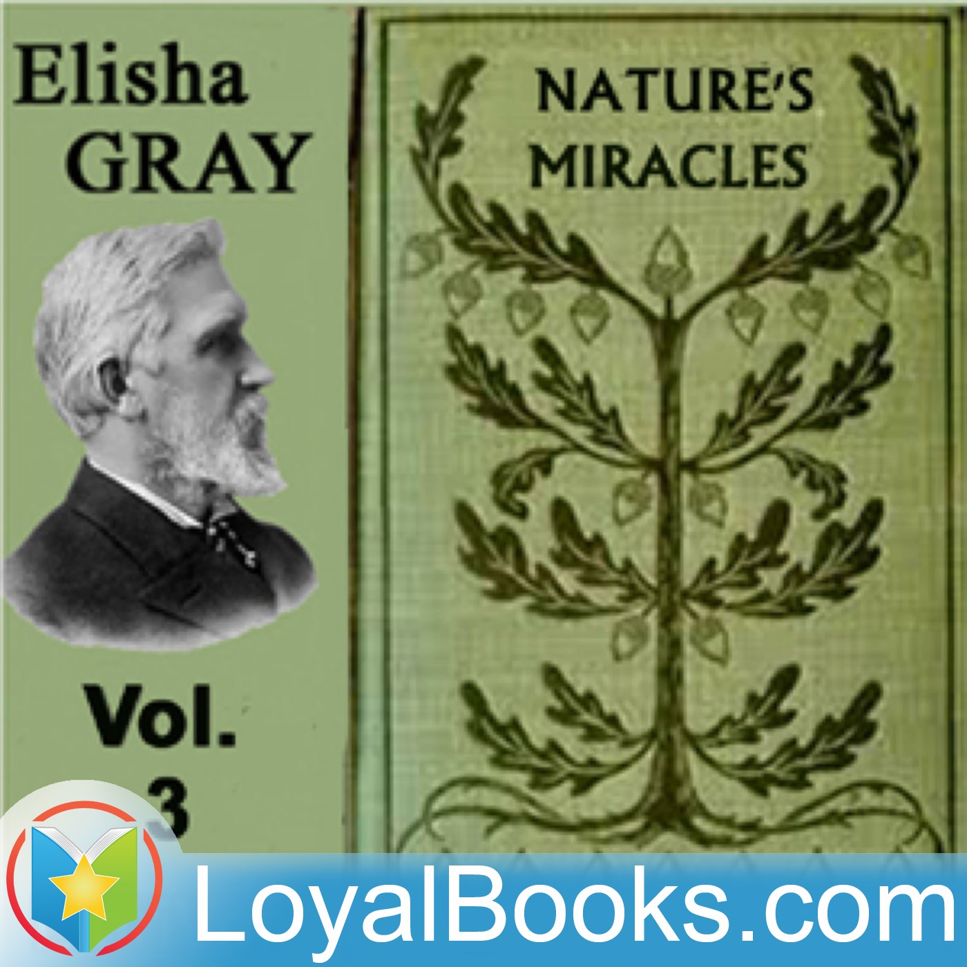 Nature's Miracles: Electricity and Magnetism, Vol. 3 by Elisha Gray