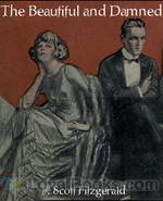 The Beautiful and Damned by F. Scott Fitzgerald