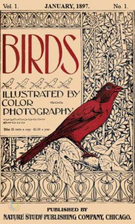 Birds, Vol. I, No 1, January 1897 by Various