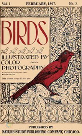 Birds, Vol. I, No 2, February 1897 by Various