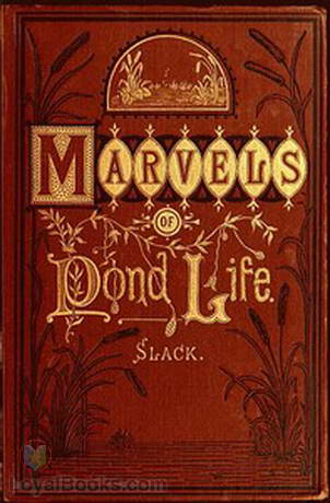 Marvels of Pond-life A Year's Microscopic Recreations by Henry J. Slack