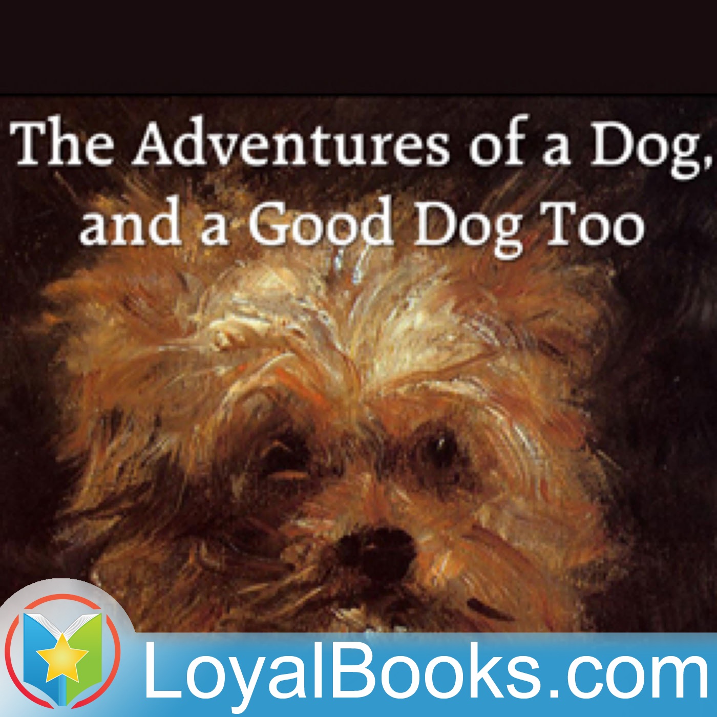 The Adventures of a Dog, and a Good Dog Too by Alfred Elwes