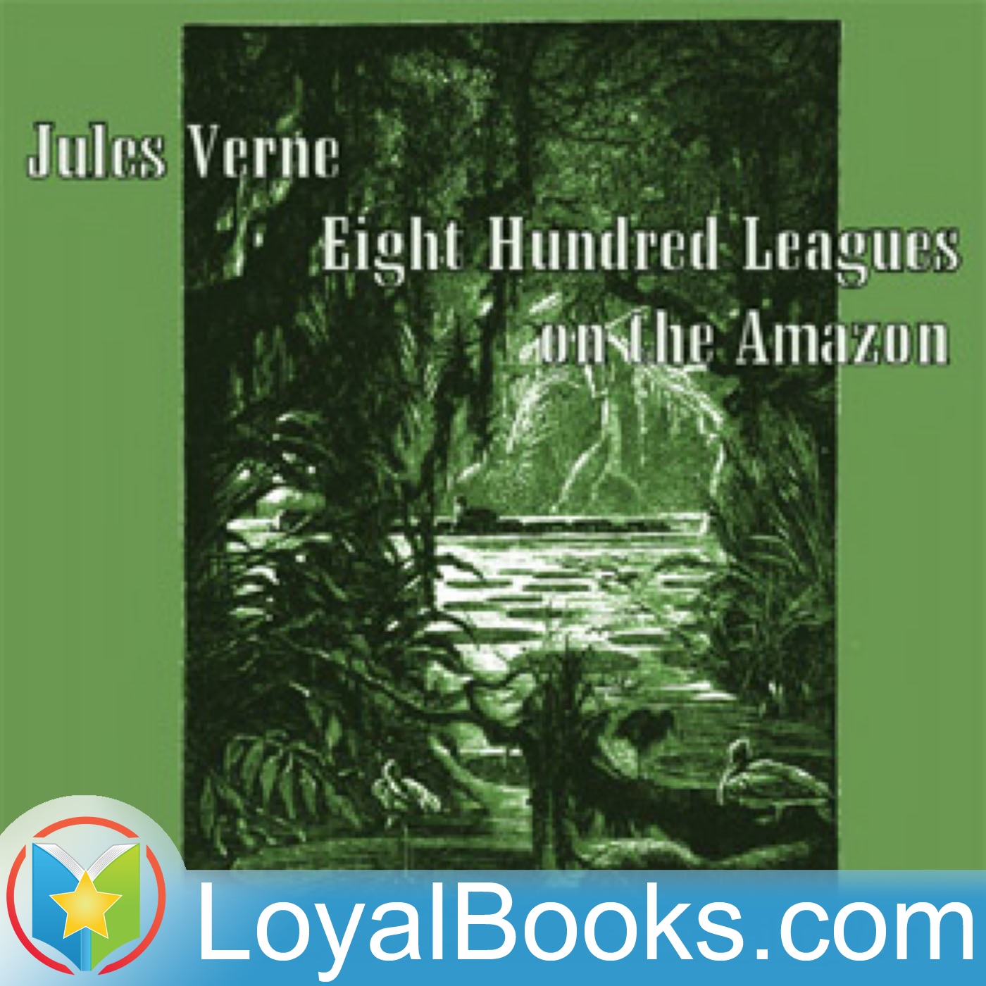 Eight Hundred Leagues on the Amazon by Jules Verne