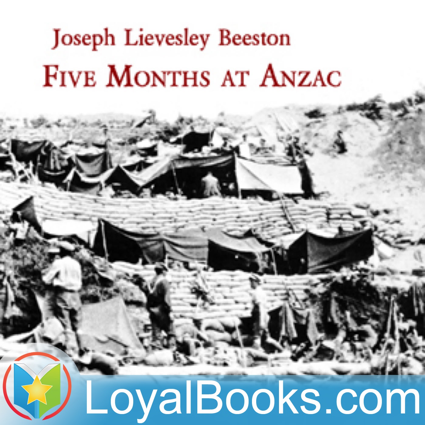 Five Months at Anzac by Joseph Lievesley Beeston