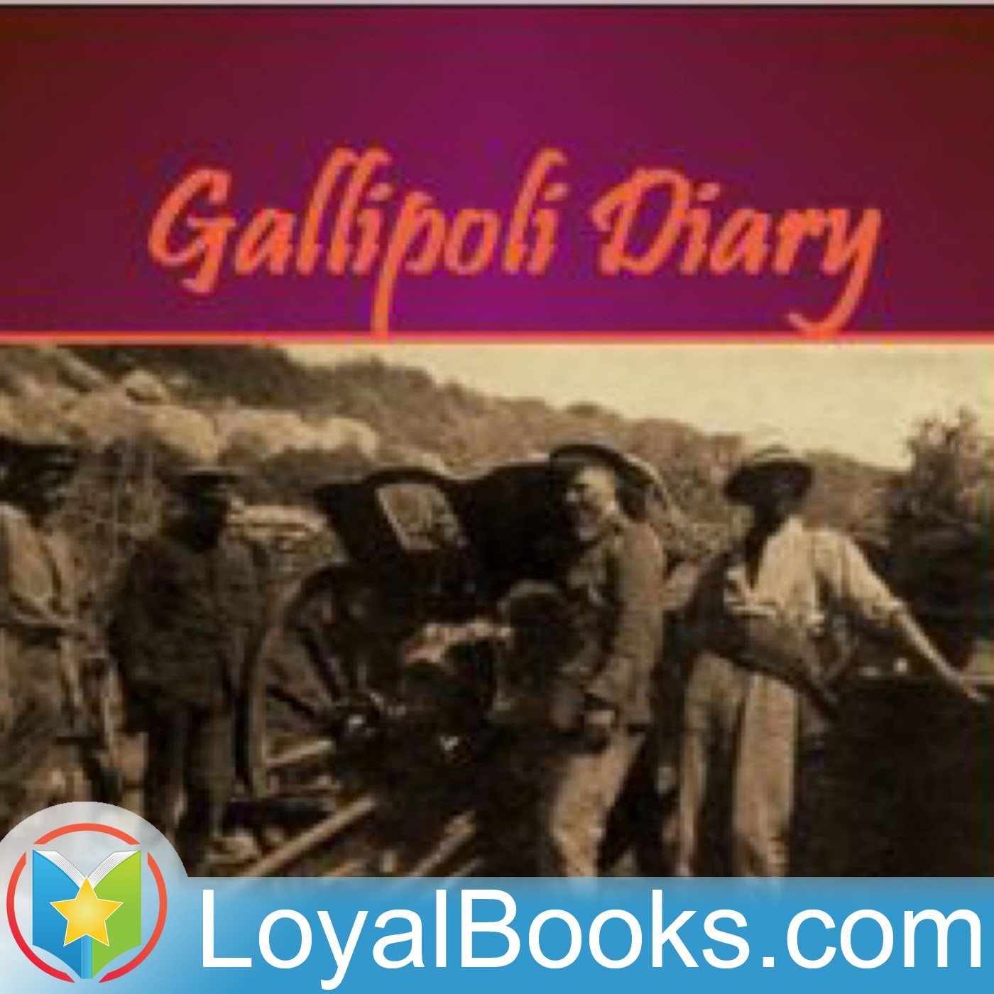 Gallipoli Diary by John Graham Gillam