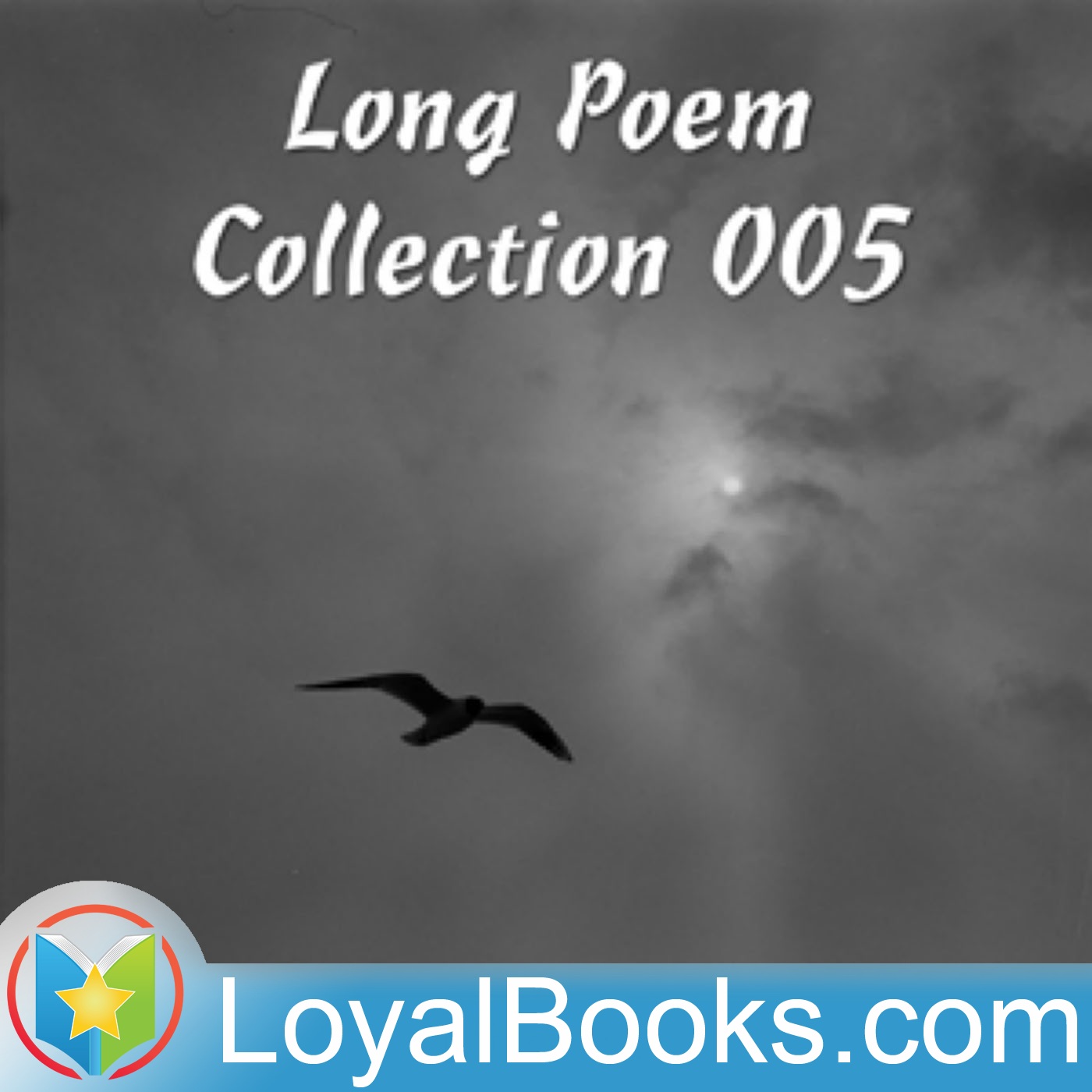 Long Poems Collection 5 by Various