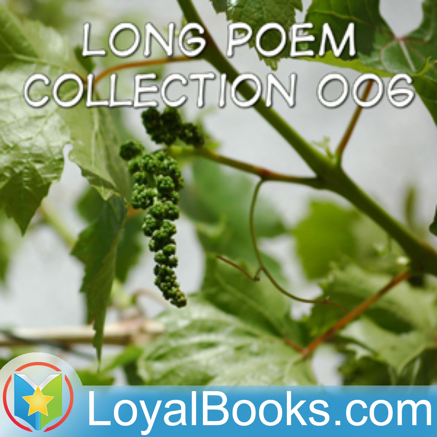 Long Poems Collection 6 by Various