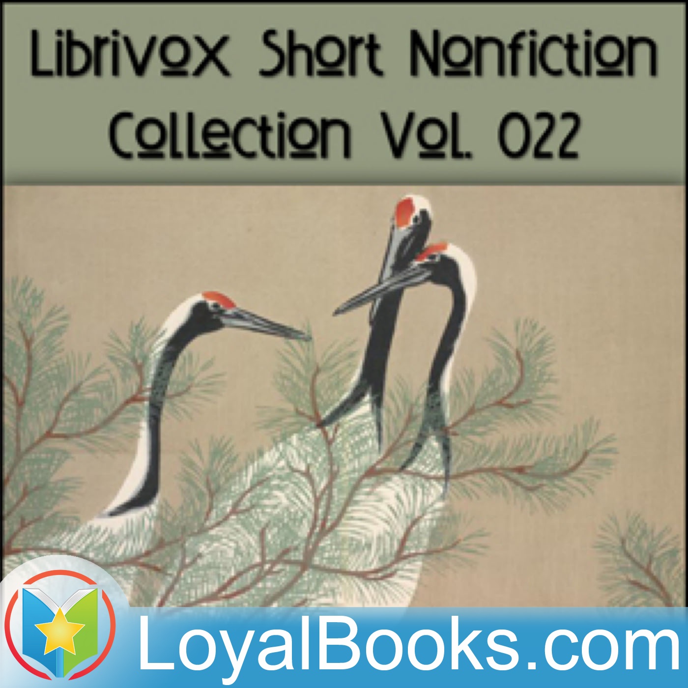 Short Nonfiction Collection Vol. 022 by Various