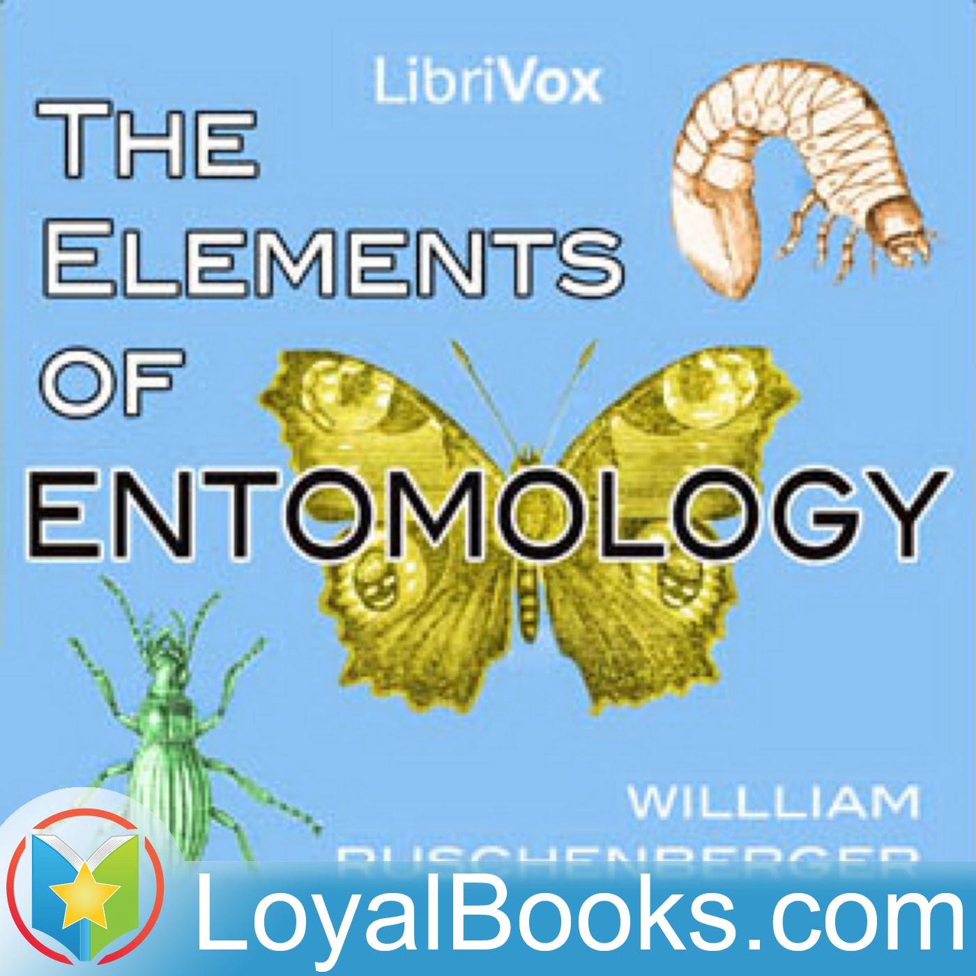 The Elements of Entomology by William Ruschenberger