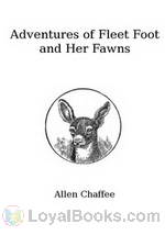 The Adventures of Fleetfoot and Her Fawns by Allen Chaffee