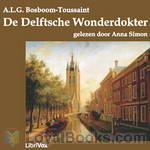 De Delftsche Wonderdokter by A.L.G. Bosboom-Toussaint