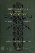 The Phantoms of the Foot-Bridge and Other Stories by Mary Noailles Murfree